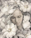 Lost in Magnolia