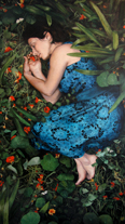 Nasturtiums Series