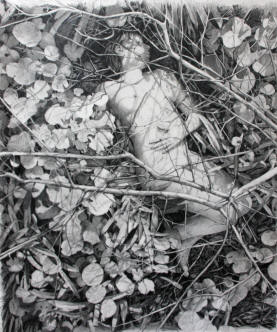 "Winter Branches"